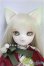画像1: DOLK×DEAR MINE/VIVIEN L. 和ロリィタ ver. Limited /BJD　球体関節人形 I-25-10-12-002-KD-ZI (1)