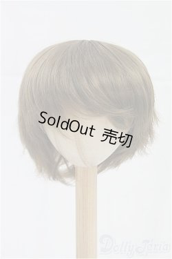 画像1: 9inch/ウィッグ/インチ　BJD　MJD　ドール用 I-25-10-05-241-KD-ZI