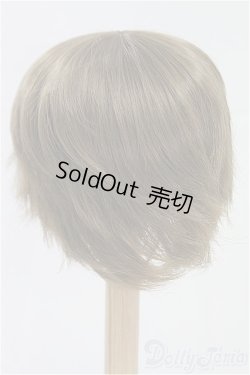 画像2: 9inch/ウィッグ/インチ　BJD　MJD　ドール用 I-25-10-05-241-KD-ZI