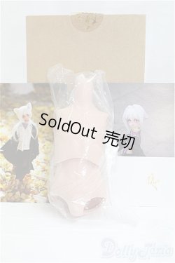 画像1: MDDサイズ/MDD用ボーイボディセット　kakuso様製/0 I-25-10-12-109-KD-ZI