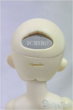 画像5: ROSEN　LIED/TUESDAY’S　CHILD　Basic Sage/BJD　球体関節人形 I-25-10-12-007-KD-ZI