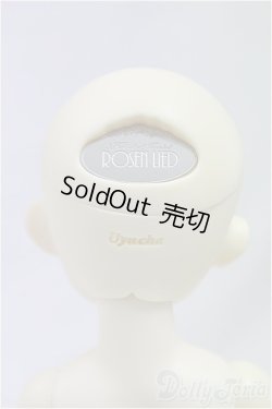 画像5: ROSEN　LIED/TUESDAY’S　CHILD　Basic Sage/BJD　球体関節人形 I-25-10-12-007-KD-ZI