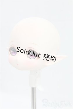 画像3: シルフ カスタムヘッド 半白肌（ロンシュカ様）/ I-25-10-26-091-KD-ZI