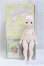 画像5: PUYOODOLL/BABY KUMAKO　EGG 01 I-25-10-19-261-KD-ZI