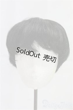 画像1: 8-9inch/ウィッグ/インチ　BJD　MJD　ドール用 I-25-10-26-211-KD-ZI