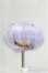 画像1: 5.5inch/ウィッグ/インチ　BJD　MJD　ドール用 I-25-10-26-197-KD-ZI (1)