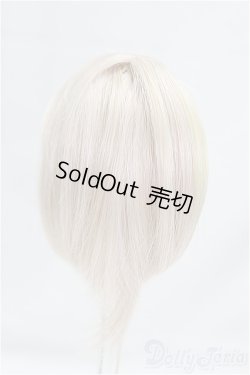 画像2: 4.5inch/ウィッグ/インチ　BJD　MJD　ドール用 I-25-10-26-206-KD-ZI