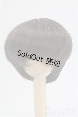 画像1: 7-8inch/ウィッグ/インチ　BJD　MJD　ドール用 I-25-10-12-087-KD-ZI