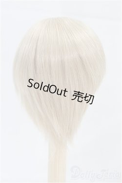 画像2: 6-7inch/ウィッグ/インチ　BJD　MJD　ドール用 I-25-10-12-095-KD-ZI