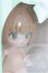 画像3: PUYOODOLL/POCKET KUMAKO/ I-25-10-12-070-KD-ZI (3)