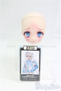 画像5: DD/DWC#1:yam様カスタム/BJD　球体関節人形 I-25-10-12-068-KD-ZI