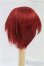 画像2: 7inch/ウィッグ/インチ　BJD　MJD　ドール用 I-25-10-19-068-KD-ZI (2)