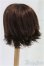 画像2: 9inch/ウィッグ/インチ　BJD　MJD　ドール用 I-25-10-19-069-KD-ZI (2)