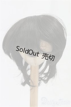 画像1: 9inch/ウィッグ/インチ　BJD　MJD　ドール用 I-25-10-19-070-KD-ZI