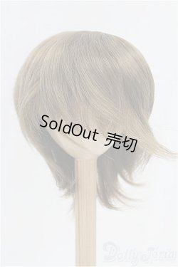 画像1: 9inch/ウィッグ/インチ　BJD　MJD　ドール用 I-25-10-19-071-KD-ZI