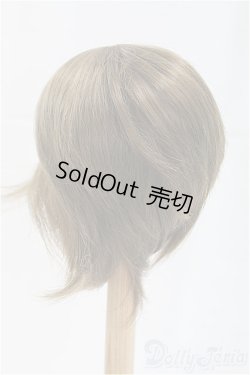 画像2: 9inch/ウィッグ/インチ　BJD　MJD　ドール用 I-25-10-19-071-KD-ZI