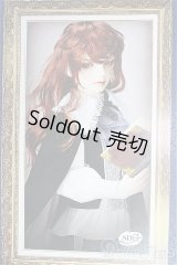 SDGr男の子/Williams〜The Diligent Scholar/BJD　球体関節人形 I-25-10-12-157-KD-ZI