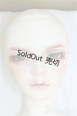 画像2: SDGr男の子/Williams〜The Diligent Scholar/BJD　球体関節人形 I-25-10-12-157-KD-ZI