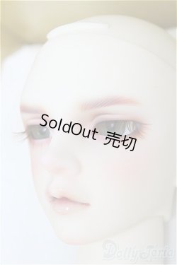 画像4: SDGr男の子/Williams〜The Diligent Scholar/BJD　球体関節人形 I-25-10-12-157-KD-ZI