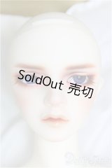 SDGr男の子/Williams〜The Diligent Scholar/BJD　球体関節人形 I-25-10-12-158-KD-ZI