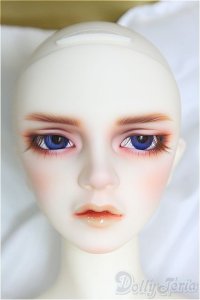 SDGr男の子/Williams〜The Diligent Scholar/BJD　球体関節人形 I-25-10-12-158-KD-ZI
