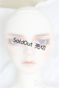 画像1: SDGr男の子/Williams〜The Diligent Scholar/BJD　球体関節人形 I-25-10-12-158-KD-ZI