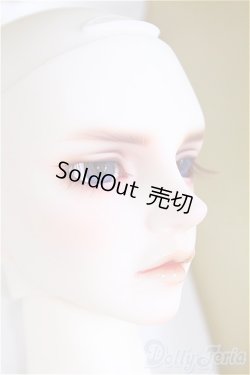 画像2: SDGr男の子/Williams〜The Diligent Scholar/BJD　球体関節人形 I-25-10-12-158-KD-ZI