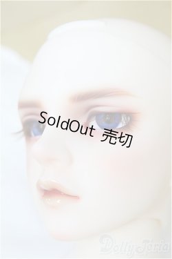 画像3: SDGr男の子/Williams〜The Diligent Scholar/BJD　球体関節人形 I-25-10-12-158-KD-ZI