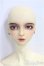 画像1: UTS/Senior Delf 65:SDワンオフマークカスタムヘッド/BJD　球体関節人形 I-25-10-19-035-KD-ZI (1)