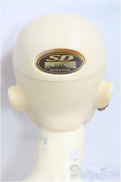 画像5: UTS/Senior Delf 65:SDワンオフマークカスタムヘッド/BJD　球体関節人形 I-25-10-19-035-KD-ZI