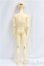 画像6: UTS/Senior Delf 65:SDワンオフマークカスタムヘッド/BJD　球体関節人形 I-25-10-19-035-KD-ZI