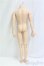 画像2: DOLLITS/DAD70 Body/BJD　球体関節人形 I-25-10-19-036-KD-ZI (2)