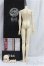 画像8: LOONG SOUL DOLL/ WeiHouHu/BJD　球体関節人形 I-25-10-19-309-KD-ZI