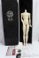 画像3: LOONG SOUL DOLL 70cm級body/BJD　球体関節人形 I-25-10-19-311-KD-ZI (3)