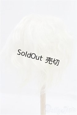 画像2: 10-inch/ウィッグ モヘア/インチ　BJD　MJD　ドール用 I-25-10-26-009-KD-ZI