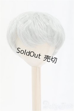 画像1: 8-9inch/ウィッグ/インチ　BJD　MJD　ドール用 I-25-10-26-010-KD-ZI