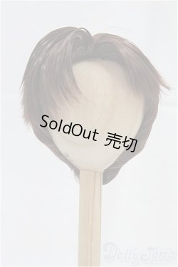 画像1: 8-9inch/ウィッグ/インチ　BJD　MJD　ドール用 I-25-10-26-015-KD-ZI