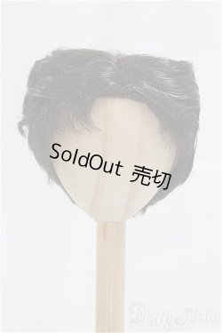 画像1: 8-9inch/ウィッグ/インチ　BJD　MJD　ドール用 I-25-10-26-017-KD-ZI