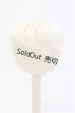 画像1: 8-9inch/ウィッグ/インチ　BJD　MJD　ドール用 I-25-10-26-014-KD-ZI