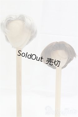 画像1: 8-8.5inch/ウィッグ/インチ　BJD　MJD　ドール用 I-25-10-26-013-KD-ZI