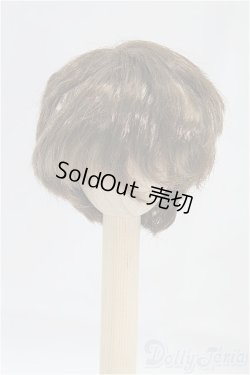 画像1: 6-7inch/ウィッグ/インチ　BJD　MJD　ドール用 I-25-10-26-028-KD-ZI