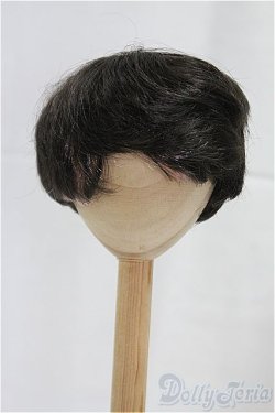 画像1: 8-9inch/ウィッグ/インチ　BJD　MJD　ドール用 I-25-10-26-029-KD-ZI