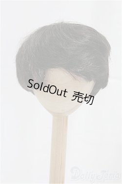 画像1: 8-9inch/ウィッグ/インチ　BJD　MJD　ドール用 I-25-10-26-029-KD-ZI