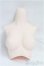 画像2: DD/DD3-B-05上半身パーツ・SS胸/0 I-25-10-26-071-KD-ZI (2)