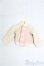 画像1: 幼SD/OF:アウター/1/6 30cm BJD MJD 衣装 ドール用 I-25-10-26-049-KD-ZI (1)