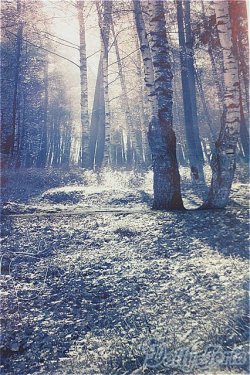 画像4: SD/OF:小物/1/3　60ｃｍ　BJD　MJD　衣装　ドール用 I-25-10-26-040-KD-ZI