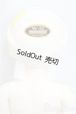 画像5: SDM女の子/ここ〜10周年記念Ver.〜 I-25-10-19-252-KD-ZI