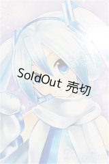 DD/雪ミク Reboot I-25-10-19-257-KD-ZI