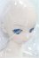 画像4: DD/雪ミク Reboot I-25-10-19-257-KD-ZI