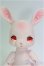 画像1: cocoriang/Tobi~SAKURA Limited~ I-25-10-19-262-KD-ZI (1)